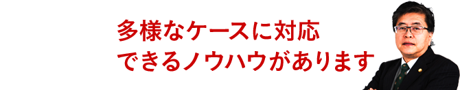 多様なケースに対応できるノウハウがあります