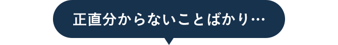 正直分からないことばかり…