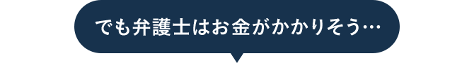 でも弁護士はお金がかかりそう…