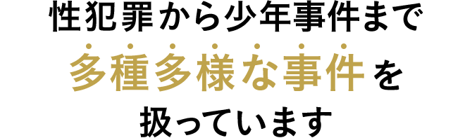 性犯罪から少年事件まで多種多様な事件を扱っています