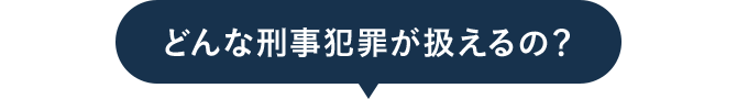 どんな刑事犯罪が扱えるの？